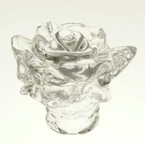 Rosa Francese